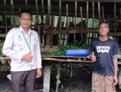 Apical Dorong Pengembangan Budidaya Kambing di Dumai