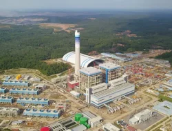 Biomassa Sebagai Sumber Energi Alternatif, Program Bahan Bakar Pengganti Batu Bara oleh PLN EPI