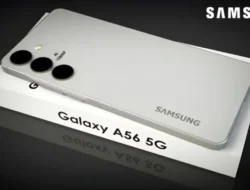 Bocoran Terbaru Mengenai Samsung Galaxy A56, Desain dan Spesifikasi Unggulan