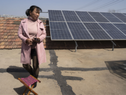 China Percepat Reformasi Penetapan Harga Energi Terbarukan untuk Mendorong Pengembangan Berkelanjutan