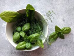 6 Manfaat Kesehatan Daun Basil dan Kemangi