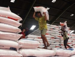 Filipina Darurat Ketahanan Pangan, Indonesia Tingkatkan Produksi Beras