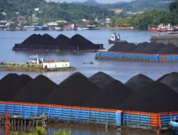 Harga Batu Bara Anjlok Setelah Prediksi IEA Tentang Masa Depan Energi Terbarukan
