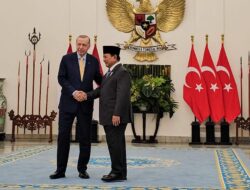 Indonesia dan Turki Sepakat Tingkatkan Kerja Sama Energi Terbarukan untuk Atasi Perubahan Iklim
