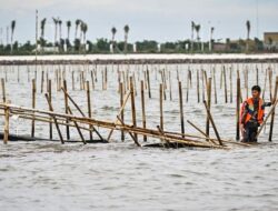 Komisi IV DPR Dorong Polri Selidiki Dugaan Korupsi Terkait Pagar Laut di Tangerang