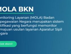 Mola BKN, Inilah 7 Cara Cek Penetapan NIP PPPK dengan Mudah