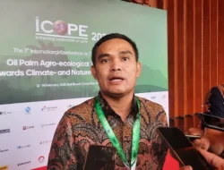 Pemerintah dan Swasta Gencar Wujudkan Energi Terbarukan di Indonesia