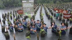 Pertamina Drilling Tanam 1.000 Pohon Mangrove di Pesisir Jakarta Utara