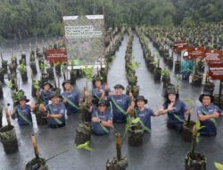 Pertamina Drilling Tanam 1.000 Pohon Mangrove di Pesisir Jakarta Utara
