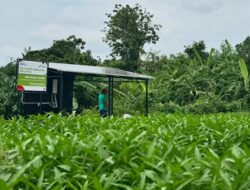 Lewat Program DED, Pertamina Dukung Swasembada Energi dan Pangan Berkelanjutan