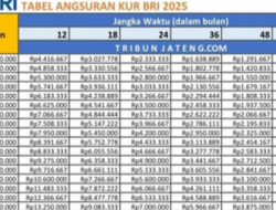Tabel Angsuran KUR BRI 2025 Lengkap dengan Cara Pengajuannya
