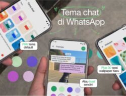 WhatsApp Luncurkan Fitur Tema Chat untuk Personalisasi Obrolan Anda